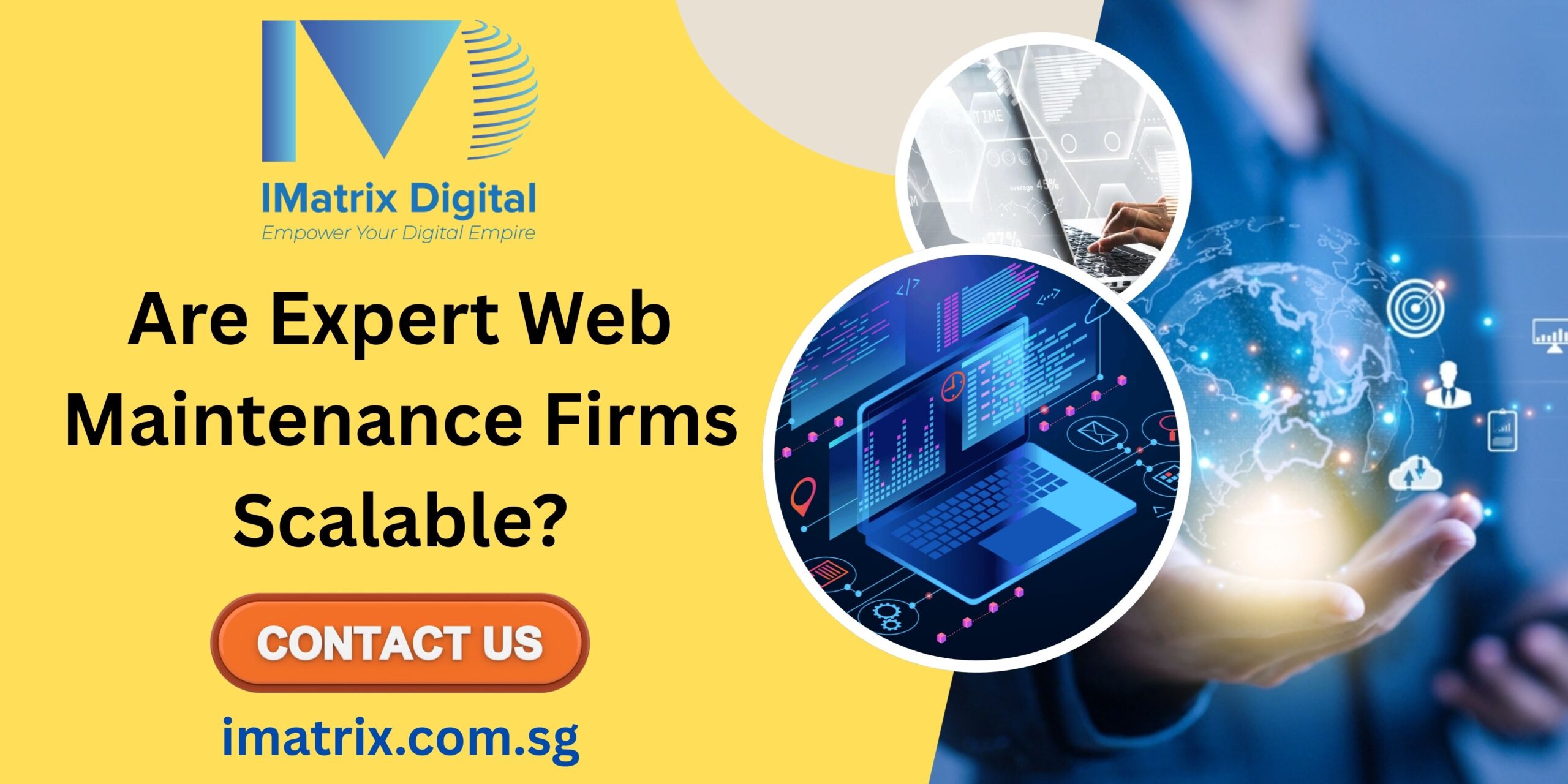 Expert Web Maintenance Firms