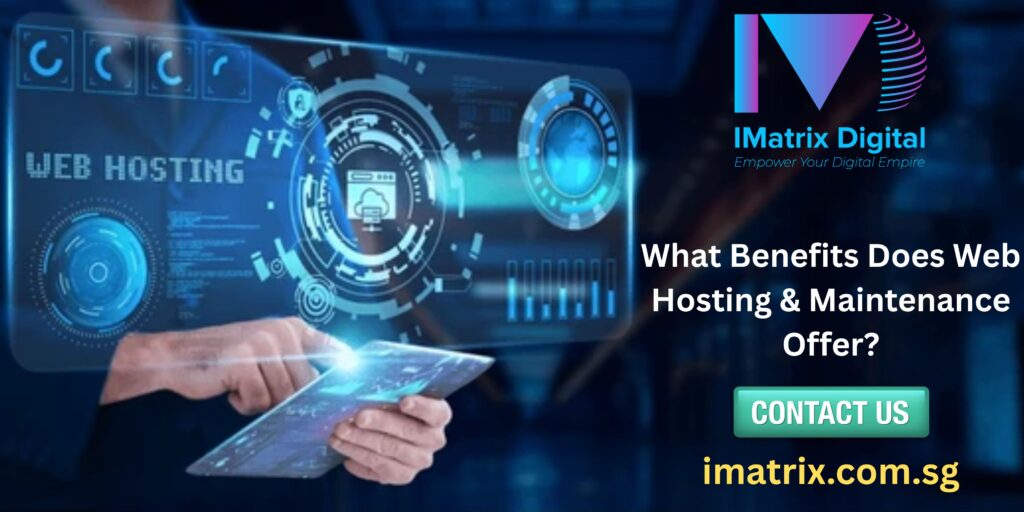 Expert Web Hosting and Maintenance in Singapore